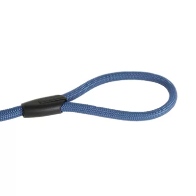 Top Paw Training Slip Dog Leash