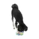 Product Canada Pooch Crocodile Cooling Pal Dog Toy
