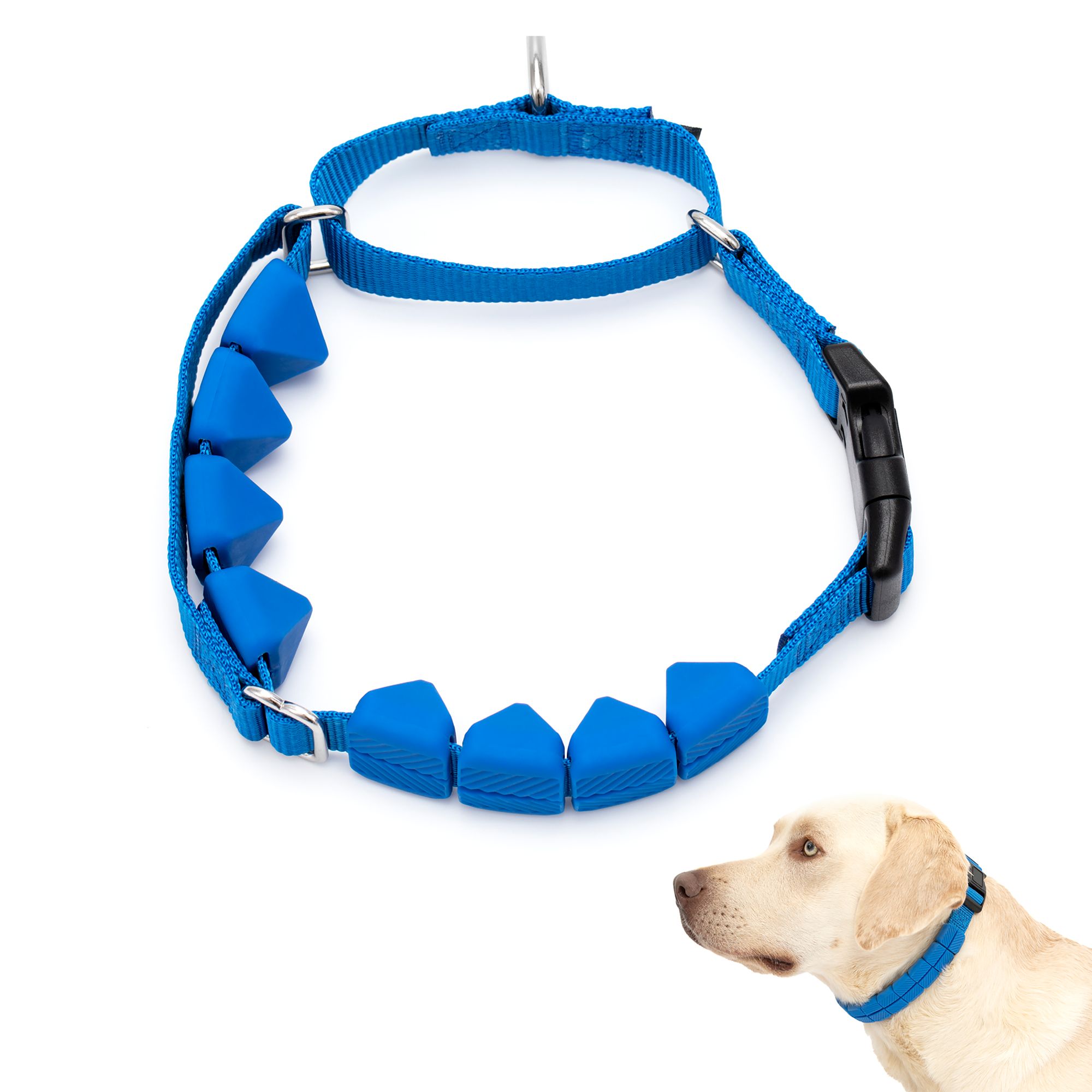 PetSafe Soft Point Training Collar No Pull Rubber Soft Points Royal Blue or Black Options