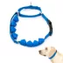 PetSafe® Soft Point Training Collar - No Pull Rubber Soft Points - Royal Blue or Black Options image thumbnail 1