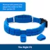 PetSafe® Soft Point Training Collar - No Pull Rubber Soft Points - Royal Blue or Black Options image thumbnail 4