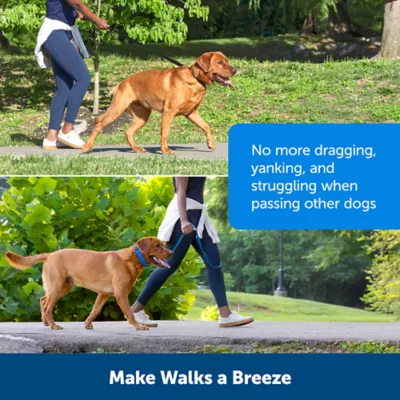 PetSafe® Soft Point Training Collar - No Pull Rubber Soft Points - Royal Blue or Black Options - Image 5