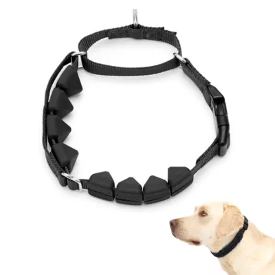 Product PetSafe® Soft Point Training Collar - No Pull Rubber Soft Points - Royal Blue or Black Options