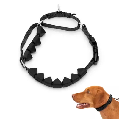 PetSafe Soft Point Training Collar Black Medium