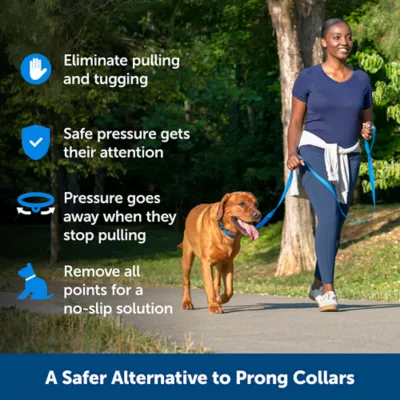 Product PetSafe® Soft Point Training Collar - No Pull Rubber Soft Points - Royal Blue or Black Options