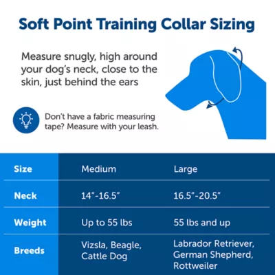 Product PetSafe® Soft Point Training Collar - No Pull Rubber Soft Points - Royal Blue or Black Options