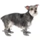 Product Canada Pooch Hot Pavement Boots