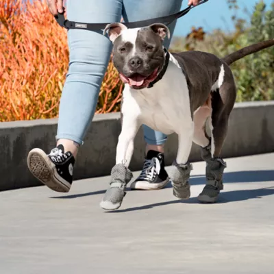 Product Canada Pooch Hot Pavement Boots