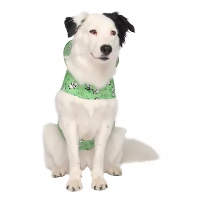 Product Canada Pooch Pandas Pick Me Poncho