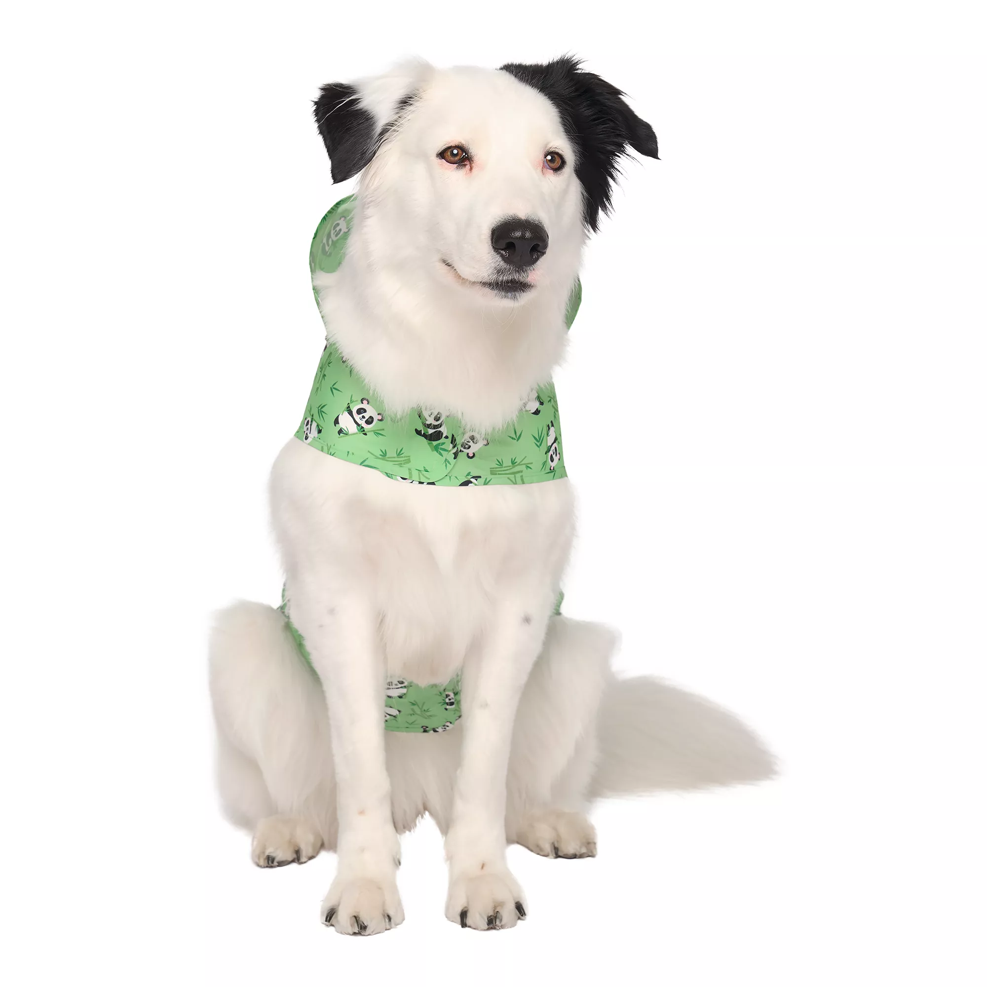 Canada Pooch Pandas Pick Me Poncho
