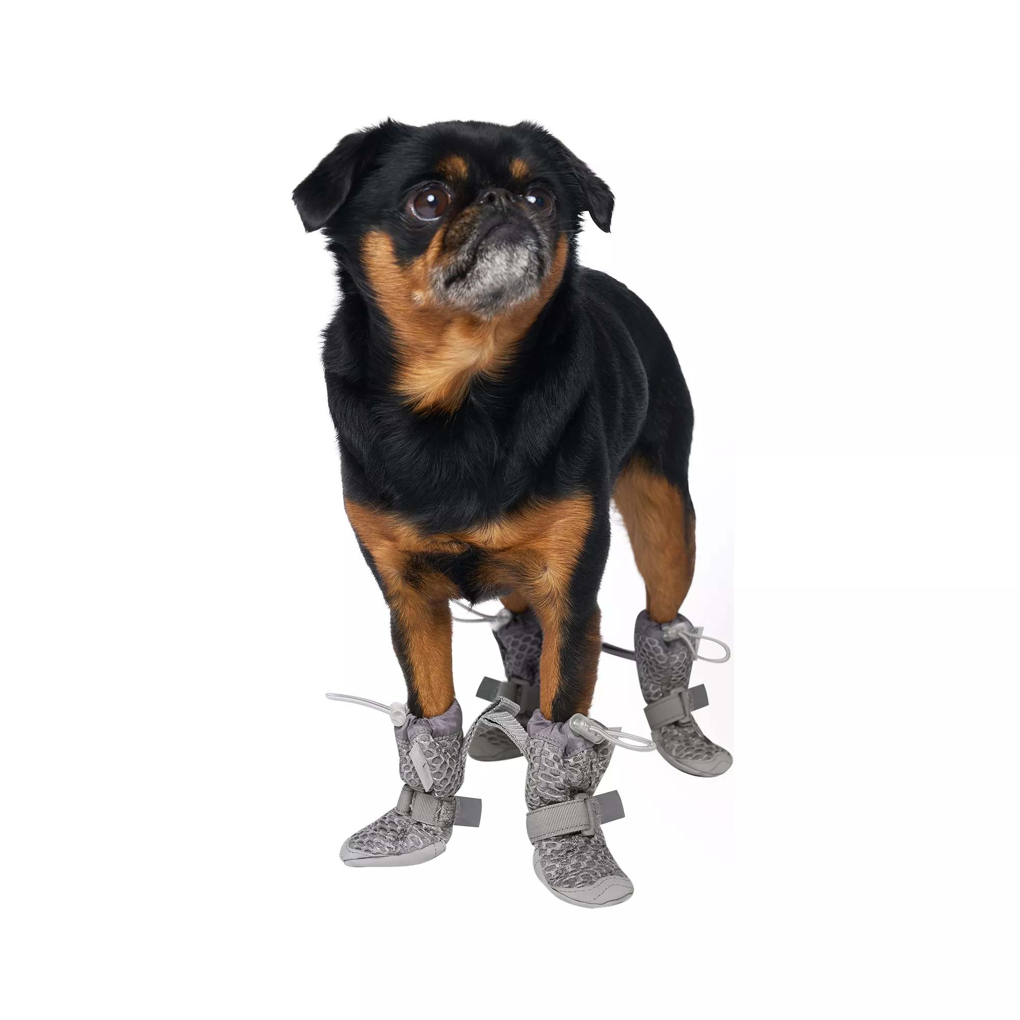 Canada Pooch Hot Pavement Boots