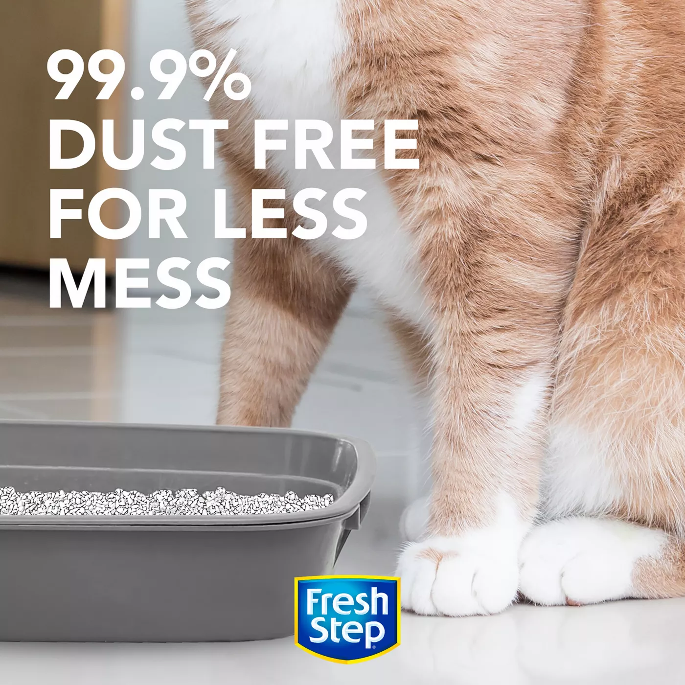 Fresh and light cat litter best sale