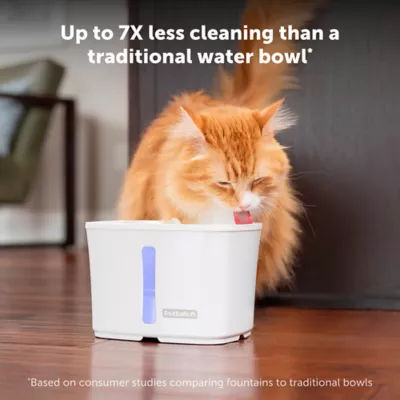 Pet water fountain petsmart best sale