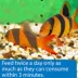 API® Bottom Feeder Pellets with Squid Fish Food image thumbnail 3