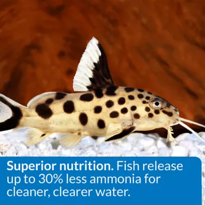 API® Bottom Feeder Pellets with Squid Fish Food - Image 4