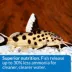 API® Bottom Feeder Pellets with Squid Fish Food image thumbnail 4