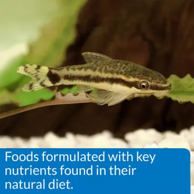 API® Bottom Feeder Pellets with Squid Fish Food - Image 5