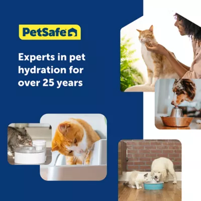 Product PetSafe® Ion-X Pet Fountain Filters - 4-Pack - Dual Filtration for Cleaner and Fresher Water