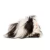 Fancy Guinea Pig image thumbnail 1