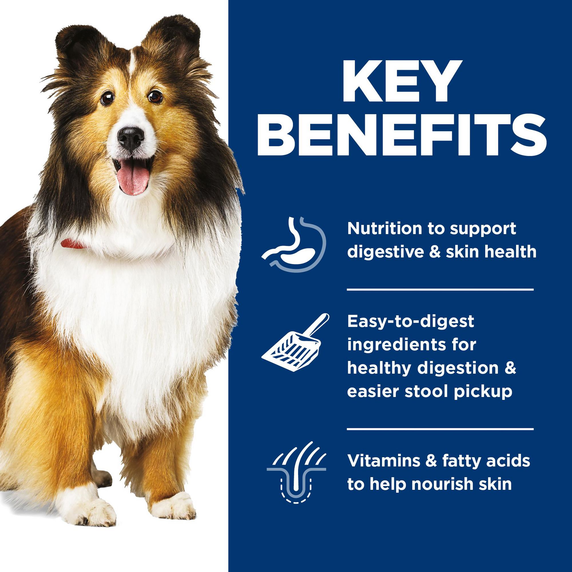 Hill's Science Diet Sensitive Stomach & Skin Adult Wet Dog Food