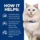 Product Hill's Prescription Diet c/d Urinary Care Adult Wet Cat Food - Chicken, 5.5 oz