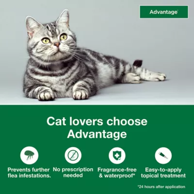 Product Advantage Topical Cat Flea Treatment and Prevention For Small Cats 2-9 lbs.