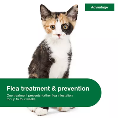 Product Advantage Topical Cat Flea Treatment and Prevention For Small Cats 2-9 lbs.