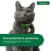 Advantage Topical Cat Flea Treatment and Prevention For Large Cats Over 9 lbs. image thumbnail 4
