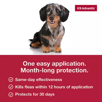 Product K9 Advantix® Classic 4-10 lbs Dog Flea & Tick Treatment