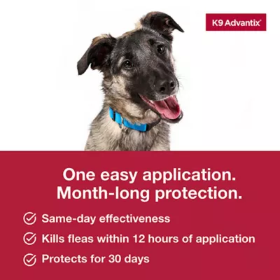 Product K9 Advantix® Classic 21-55 lbs Dog Flea & Tick Treatment