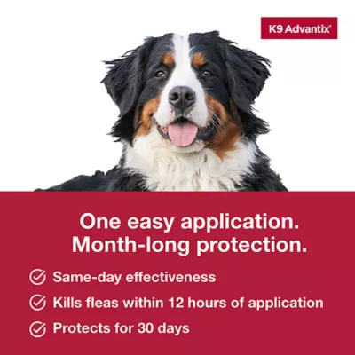 Product K9 Advantix Flea, Tick & Mosquito Prevention for Dogs