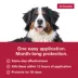 K9 Advantix® Classic 55+ lbs Dog Flea & Tick Treatment image thumbnail 7