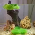 Penn-Plax Fish Breeding Grass image thumbnail 3