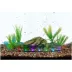 Top Fin® Flexible Multi-Colored LED Bubble Wall image thumbnail 1