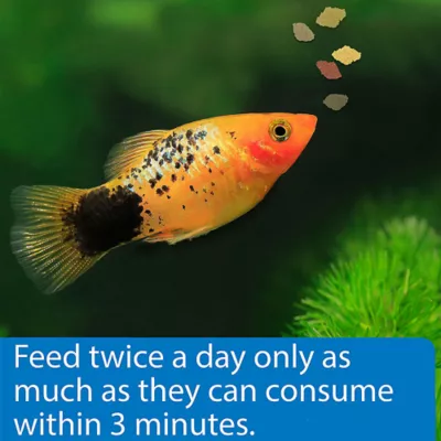 API® Tropical Flake Fish Food - Image 4