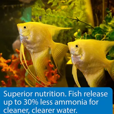 API® Tropical Flake Fish Food - Image 5