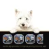Cesar Home Delights Wet Dog Food - Beef image thumbnail 6
