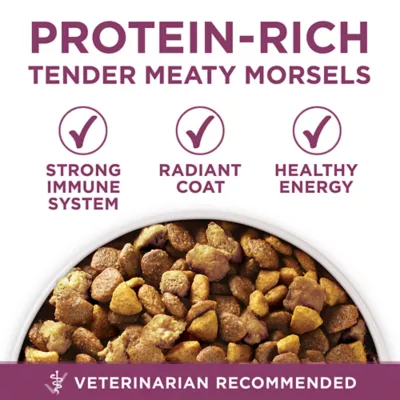 Purina dog chow healthy morsels hotsell