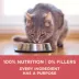 Purina ONE +Plus Indoor Cat Advantage Dry Food - Salmon, 1.8 kg image thumbnail 4