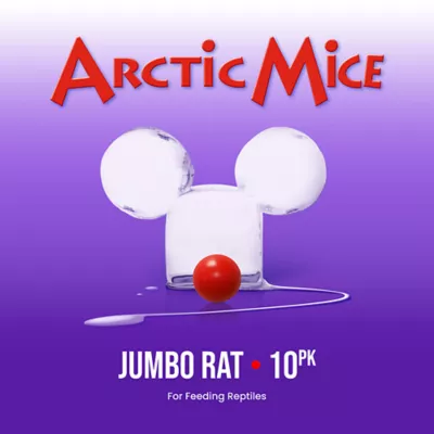 Product Arctic Mice Frozen Jumbo Rats