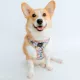 Product Sassy Woof Where Dogs Are Family Toy Story Adjustable Dog Harness