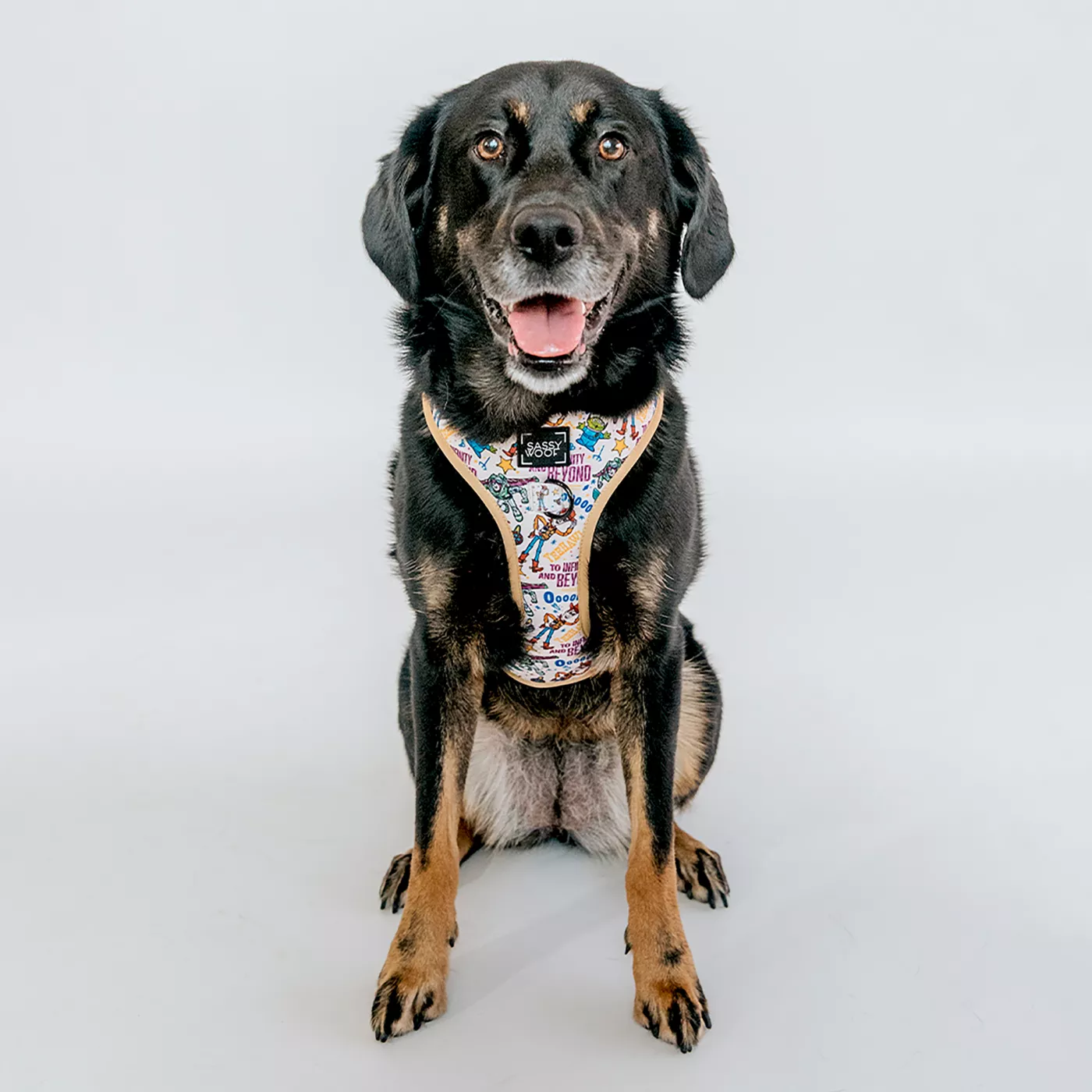 Dog harness store best sale