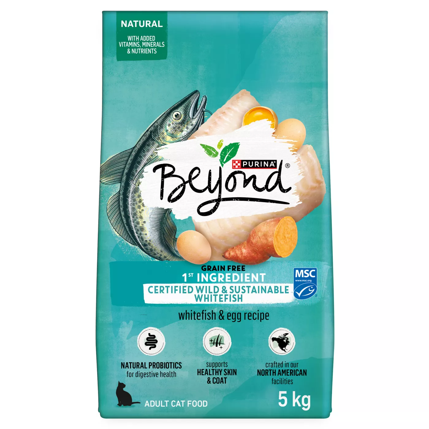 Purina Beyond Adult Dry Dog Food Ocean Whitefish