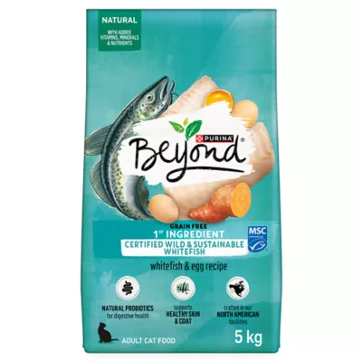 Purina beyond wet dog food rating best sale