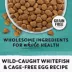 Beyond Grain Free Dry Cat Food - Wild-Caught Whitefish & Free Run Egg Recipe image thumbnail 8