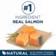 Product Purina ONE Plus Skin & Coat Formula - Salmon