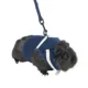 Product Full Cheeks™ Small Pet Harness