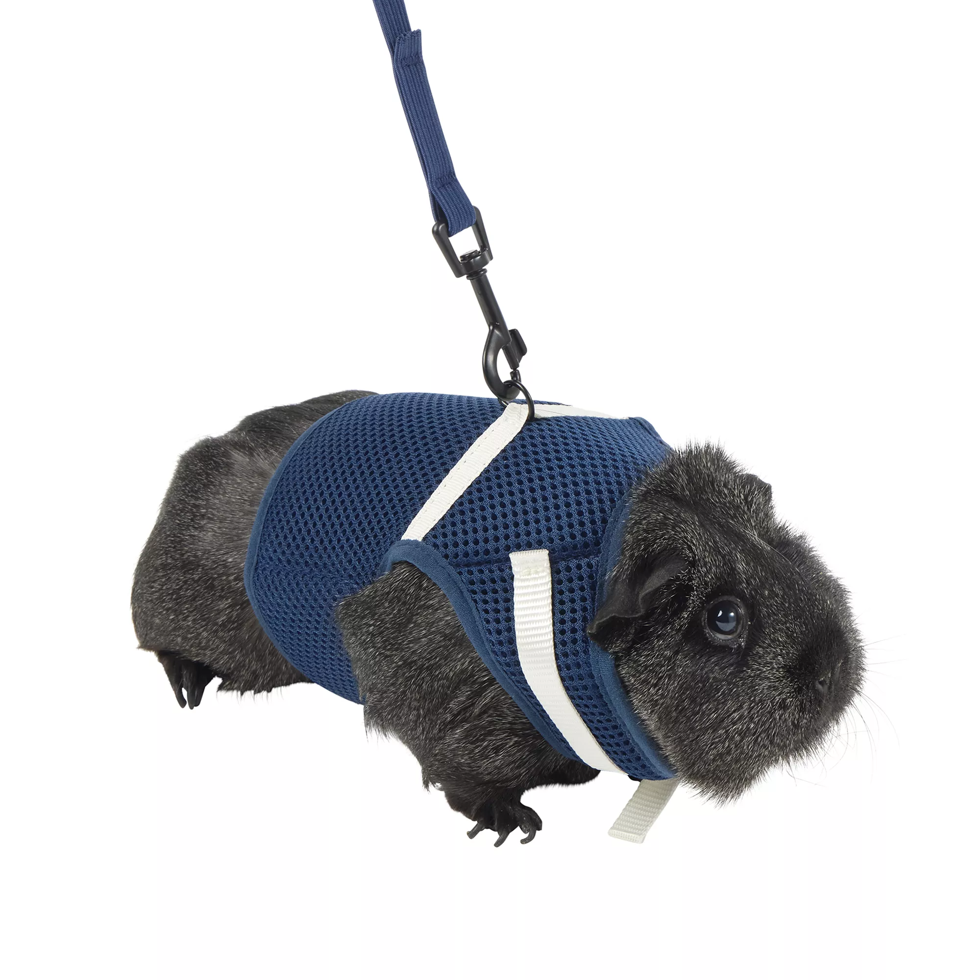 Full Cheeks&trade; Small Pet Harness