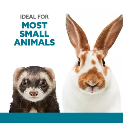 Full Cheeks™ Metal Bowl - Image 2