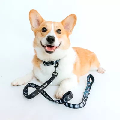 Product Sassy Woof Where Dogs Are Family STAR WARS™ Dog Leash